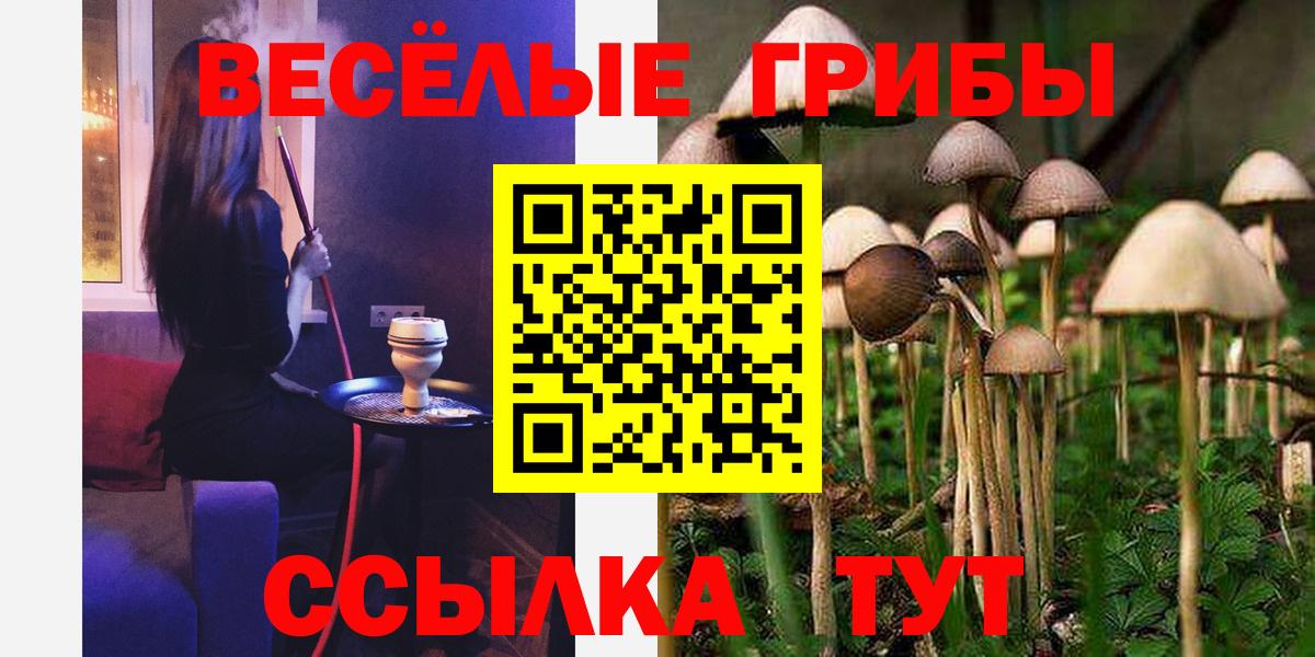 Донской  купить закладку  Вход с VPN  Галлюциногенные грибы GOLDEN TEACHER 